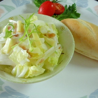 ☆白菜とチーズの梅マヨサラダ＆プチパンプレート☆